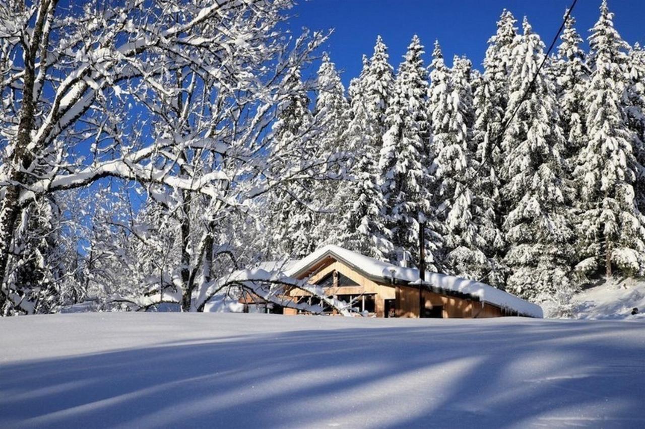 Chalet Le Petit Jura Villa Morbier Eksteriør bilde